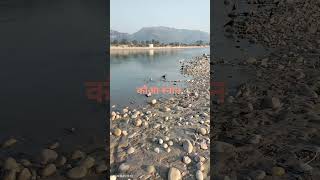 कौओं का गंगा स्नान 💦viral crows bath in ganga कौआ स्नानtrending youtubeshortsकागभुशुण्डि गंगा जी में