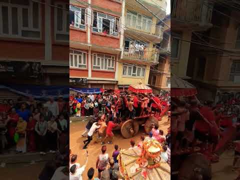 #jatra #panauti #culturalheritage #savecultural #newar #jatraijatra
