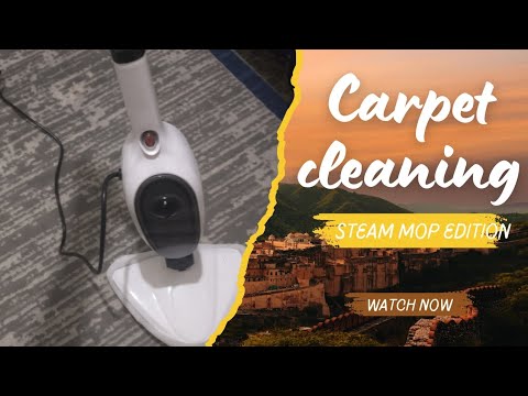 HOW TO USE A STEAM MOP ON A CARPET.