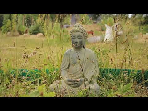 Buddha Bar - vol.5 2021 - Chillout & Relax Music - Buddha Bar