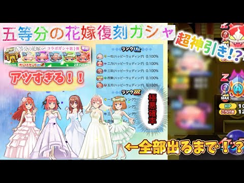 【妖怪ウォッチぷにぷに】五等分の花嫁コラボ復刻ガシャ！！覚悟を決めて確率0.1％の花嫁コンプを狙ったらヤバすぎる結果になった！