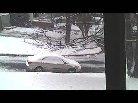 Snow Falling February 20th 2025