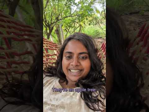 Make This Make Sense | You’re Asking for Mangoes from an Apple Tree | Wondering Why You’re Starving