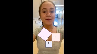 The SIMPLEST proof ot the Pythagorean Theorem - a visual approach even a kindergartener would get!