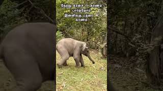 கரசை மற்றும் பத்ரை கரணம் (எளிய ஜோதிடம்)