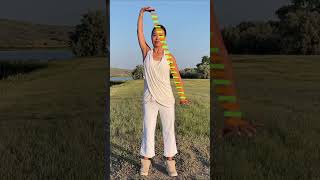 QIGONG FOR BETTER DIGESTION / GUT HEALTH #holistichealth #digestion #qigong #guthealth