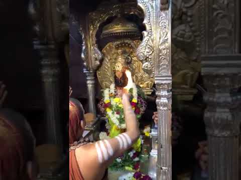 Live Darshan | Shri Vitthal Pandharpur | Vishnu Shiva Datta