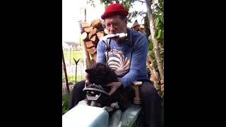 " On My Farm Tractor " c1 #harmonica #cat #springvibes #farmtractor  #humor #funny #harmonicaplayer