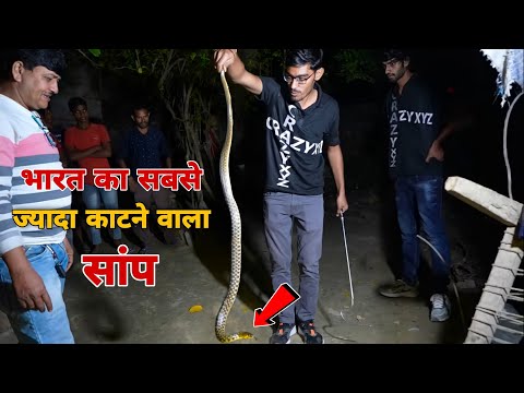 Amit Rescue a Big Snake- Checkered keelback | Very Dangerous