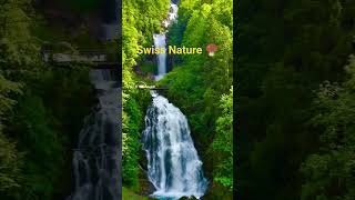 Swiss Nature 🍄‍🟫#10millionview #viewsproblem