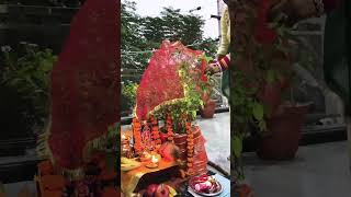 देवउठनी एकादशी पर जरूर करे ये 5 काम #teejtyoharaurdharm #devuthaniekadashi #tulsivivah