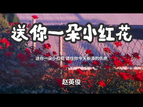 送你一朵小红花 - 赵英俊  「送你一朵小红花 遮住你今天新添的伤疤」 【动态歌词Lyrics】