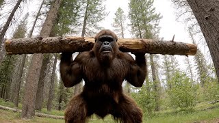 Bigfoot VLOG - Forest Workout