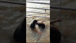 Ganga Snaan // Ganga ghat // Haridwar #gangasnaan #gangaghat #haridwar #harhargange #harkipauri