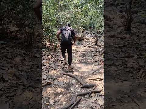 TADA water falls Vlog 🥾🌳🏊‍♂️ #nature #travel #trecking #waterfall #tada #peace #friends