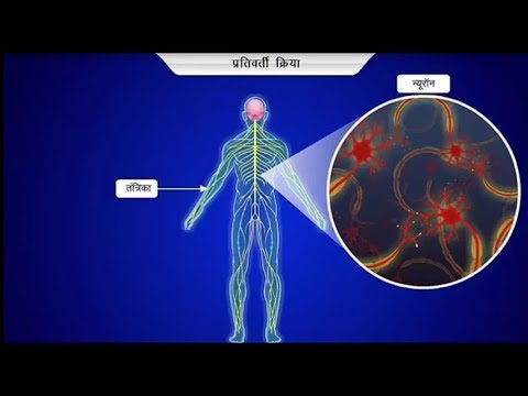 तंत्रिका कोशिका | तंत्रिका तंत्र || Nervous Cell | Nervous System