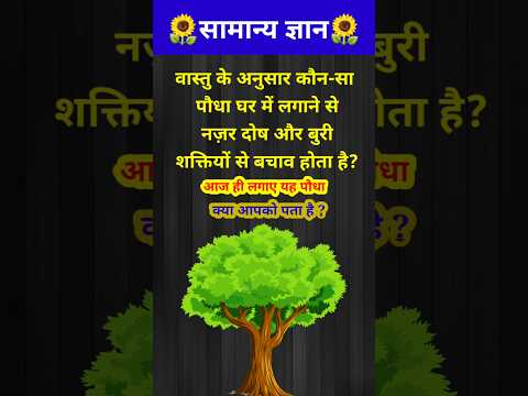 क्या आपको पता है यह पौधा बुरी नजर और बुरी शक्तियों से बचाता हैं // GK question //GK quiz / #shorts