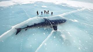 Top 10 Disturbing Things Found Frozen Inside Glaciers