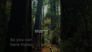 Don't get stuck in implementation, join Bangert Enablement for #sageintacct