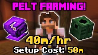This Early Game Money Making Method is INSANE! | Hypixel Skyblock Guide