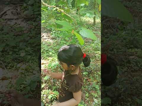 മൾബെറി ഫ്രൂട്ട് കഴിക്കുമ്പോ ഇങ്ങനെ എക്സ്പ്രേഷൻ ഉണ്ടാകുവോ 😅#kidsvideo #kidsfun