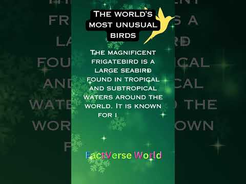 Bird Facts #viralshorts #birds