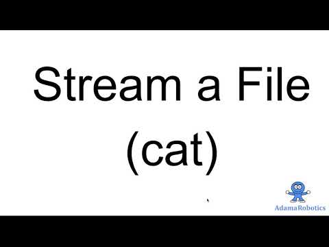 Stream a file cat command