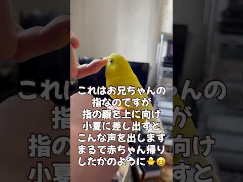 赤ちゃんがえり🤭