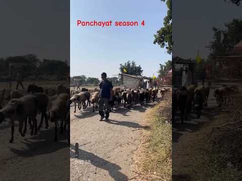 Village mahodiya district sehore mp || shootinpanchayat season 4 shooting