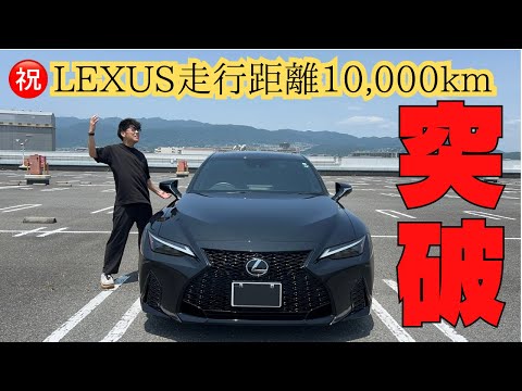 走行距離が1万kmを超えたので記念ケーキを山で食べてみた。
