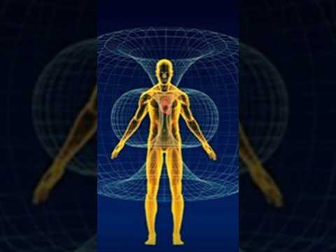 We are Living in a Single Moment 3 Phases of time do not exist ?