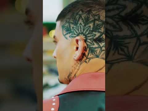 Zayn new unreleased track (preview)