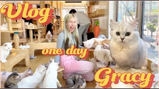 [ #GracyWizzle VLOG ] : Make A Wiz Club | เกรซซี่พาบุกคาเฟ่แมว 🐈