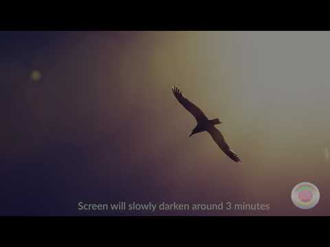 🦜 FLY WITH A BIRD Guided Sleep Meditation for Kids (10 MINUTE MEDITATION WITH LOOPING MUSIC)