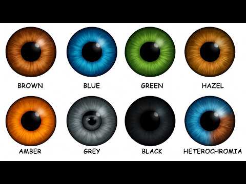 Every Eye Color Explained in 8 Minutes
