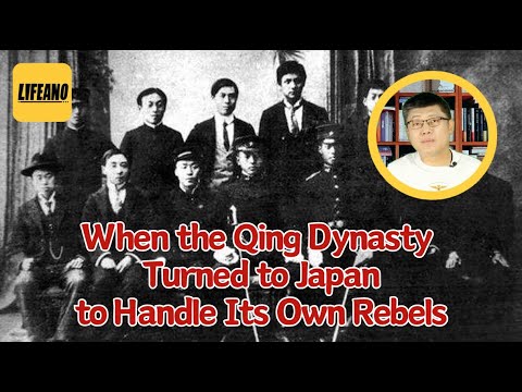 Chinese Student Crackdown: Misguided ‘Insult to China’? #lifeano #Yuansir