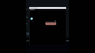 Snake game with Python, Catch the birdie Elon Musk