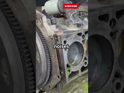 Diesel Drivers 5 Pro Secrets You Need to Know!