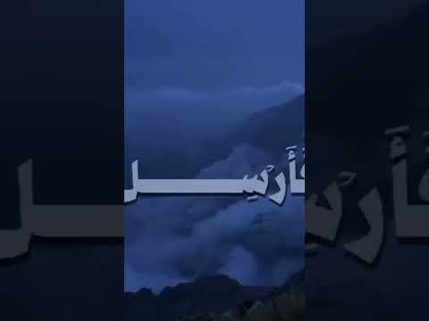 #قرآن #آية_الكرسي #سورة_البقرة #الطمأنينة #السكينة #الله #short #quran #islam #fyp #الراحة_النفسية