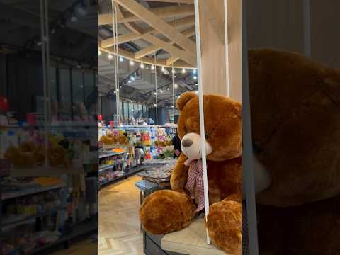 Teddy love 🏖️#ytshort #shortsvideo #views #viral #tiktok #simplezindgi #shortsfeed #teddybear #fyp