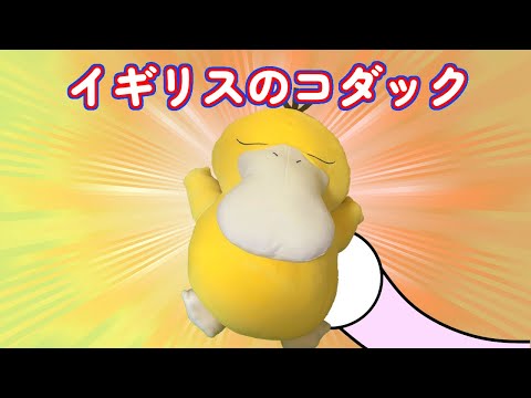 【寝てる！大きい】イギリスの寝てるコダックのぬいぐるみ　～UK Sleeping Psyduck Plush～