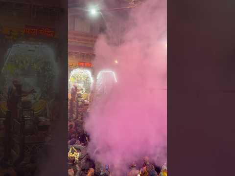 Shri Radhavallabh ji mandir Holi utsav #trending #bankebihari #viralshort #holifestival #shorts