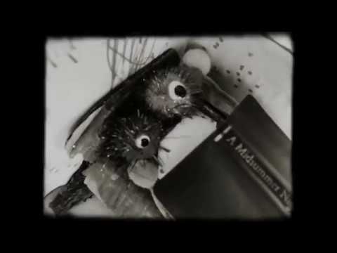 Hush Forever - Sweet Insomnia (album edit)