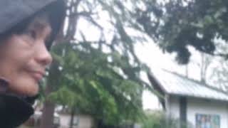 Appiano on the Wine Road South Tyrol Italy 👌✔👍❤ Land of Castles, Lakes and Wines