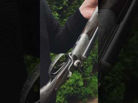 Dreilaufer System by Sauer, hunting gun