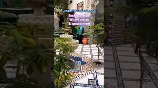 Riad Morocco interior garden its soothing fountain  #travelmorocco #visitmorocco #moroccanculture