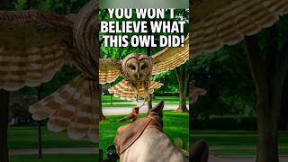 Caught on Camera: Owl Attacks in 0.1 Second! #owl #shortvideo #shorts #quickclip #short