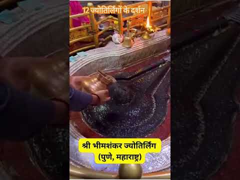 द्वादश ज्योतिर्लिंग के दर्शन #ज्योतिर्लिंग #jyotirling #shivjibhajan #jaygaurishankar