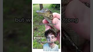 What is “transformative content”