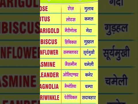 name of flower.............